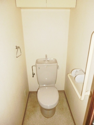 Toilet. Standard toilets