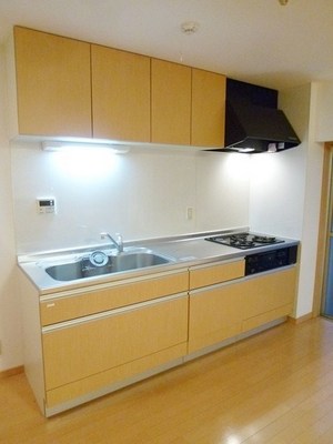 Kitchen. Wide system kitchen cooking space, 3 dishes can dishes at once