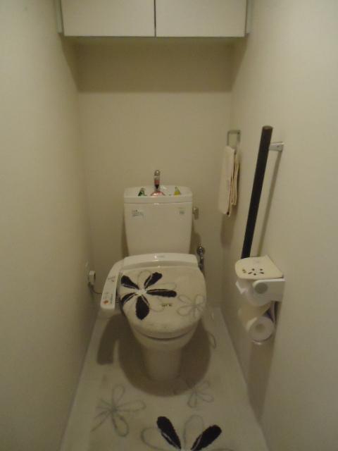 Toilet. Warm water washing heating toilet seat. There is rubbing hands. The top is a convenient shelf for storage.