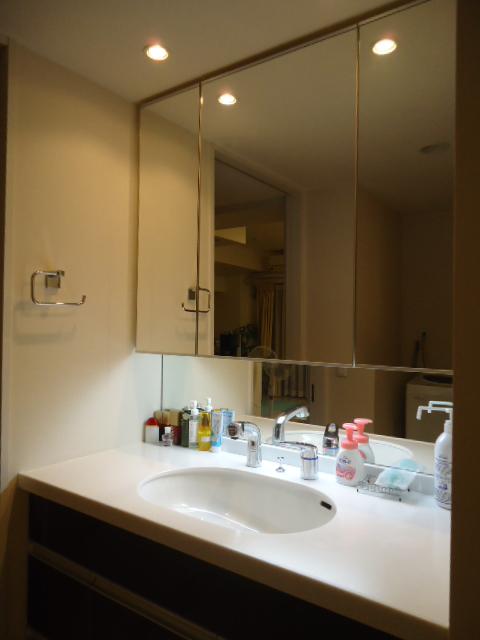 Wash basin, toilet. Vanity with a three-sided mirror back storage. Storage is also abundant.