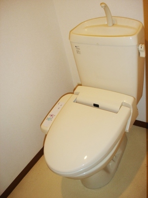 Toilet. It is a toilet with a clean.