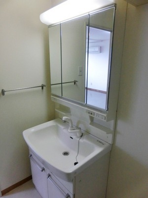 Washroom. Easy morning with a large washbasin