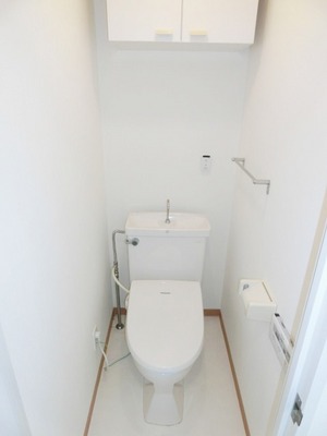 Toilet. Shelf to the top It is a warm water washing toilet seat