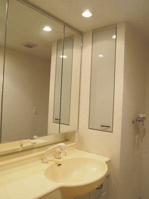 Washroom. Washbasin large mirror surface is happy