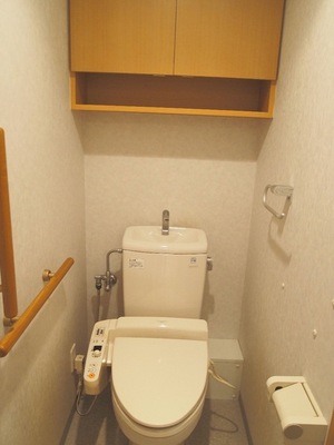 Toilet. Also it has become a rich and convenient to make storage toilet What handrail with