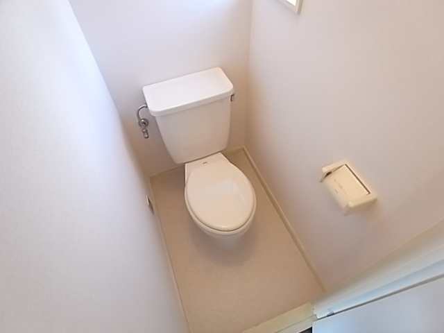 Other. It is a toilet with a clean