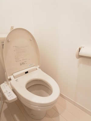 Toilet. With warm water washing toilet seat