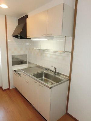 Kitchen. Two-burner gas stove installation Allowed