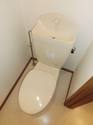 Toilet. Toilet