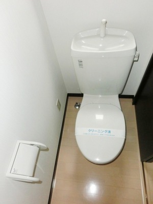 Toilet. Toilet