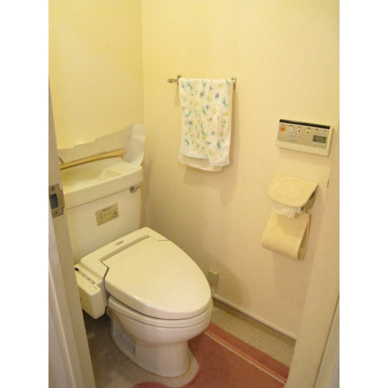 Toilet. With warm water washing toilet seat