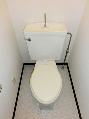 Toilet. Toilet with cleanliness