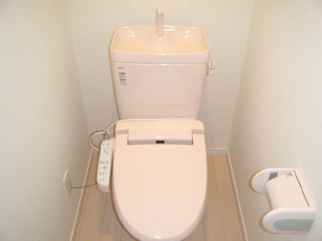 Toilet. It is a photograph of the other room.