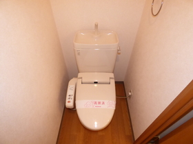 Toilet. With cleaning function heating toilet seat