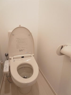 Toilet. With warm water washing toilet seat