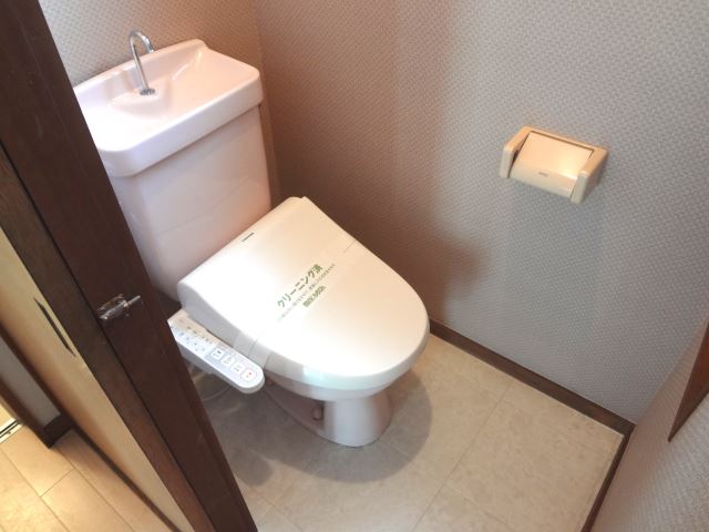 Toilet. It comes with a bidet.