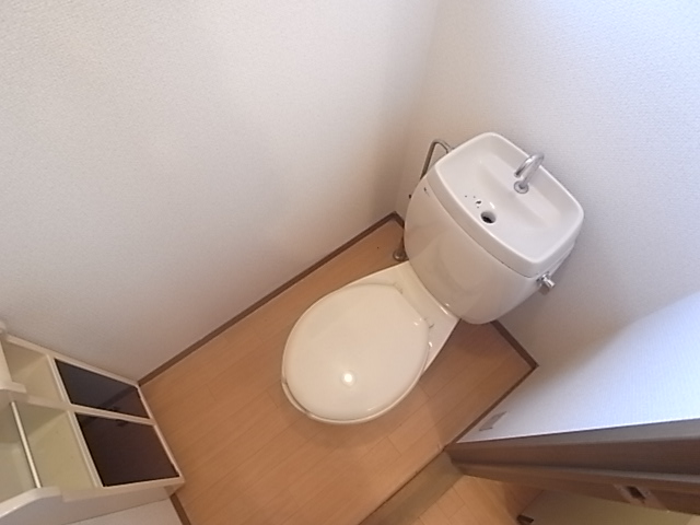 Other room space. It is a toilet with a clean