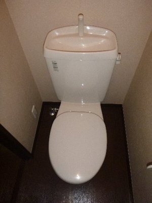 Toilet. It is a toilet with a clean