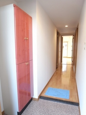 Entrance. Large front door storage is very convenient. It is a vivid color is cute