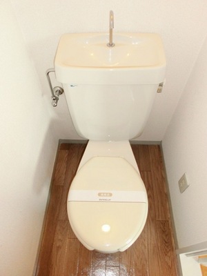 Toilet. Toilet