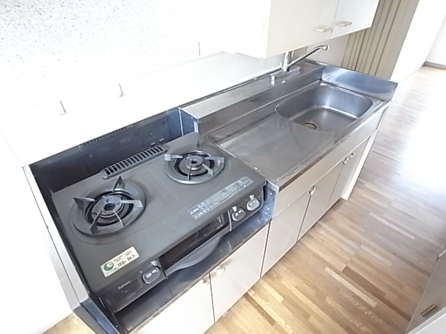 Kitchen. Two-burner stove in the kitchen ☆