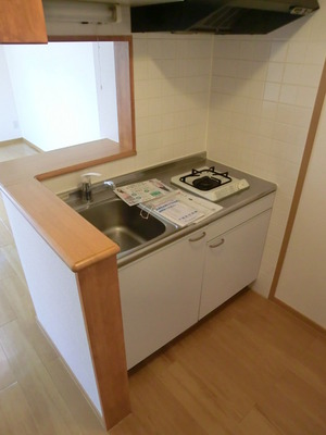 Kitchen. System kitchen