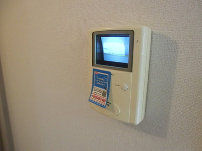 Security. TV Intercom