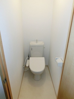 Toilet. Bidet with toilet