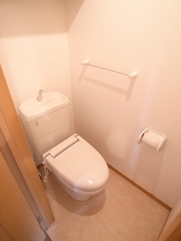 Toilet. There is also convenient storage shelf at the top.