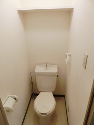 Toilet. Standard toilets