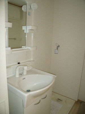 Washroom. Shampoo is with Dresser