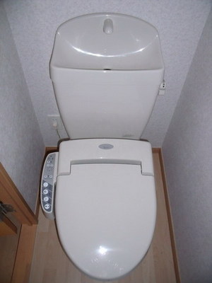 Toilet. Washlet toilet