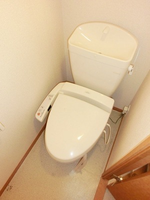 Toilet. Washlet there might be.