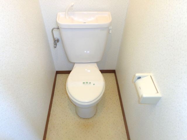 Toilet. Western-style toilet