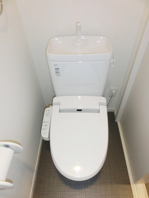 Toilet. Toilet with warm water washing toilet seat