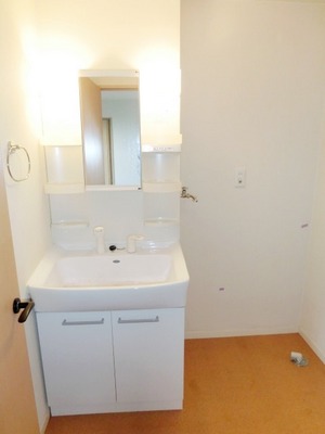 Washroom. It comes with shampoo dresser