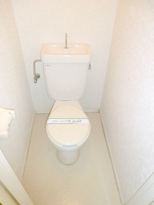 Toilet. It is clean and spread of toilet