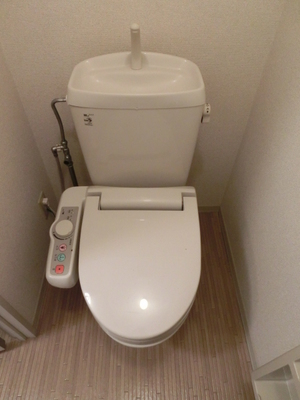 Toilet. Toilet