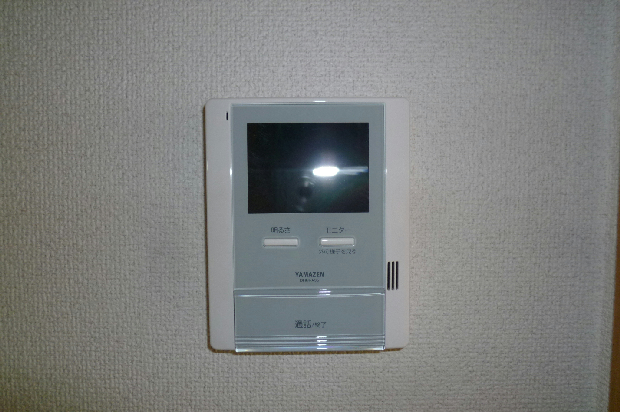 Security. Monitor with intercom