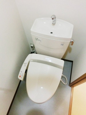 Toilet. Shower toilet.