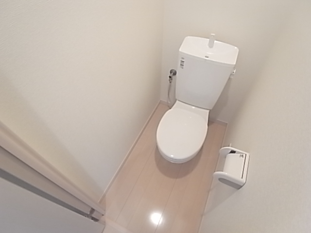 Other. It is a toilet with a clean