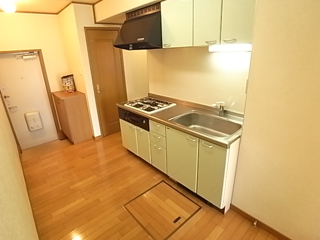 Other. Also spacious kitchen