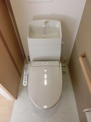 Toilet. With warm water washing toilet seat