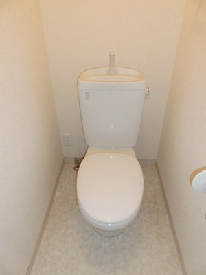 Toilet. Standard toilet.