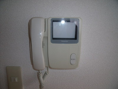 Security. TV monitor phone