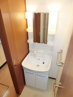 Washroom. Bathroom Vanity