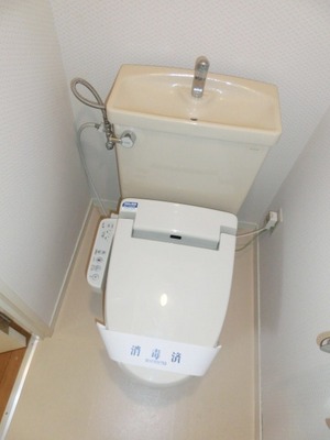 Toilet. Toilet with warm water washing toilet seat