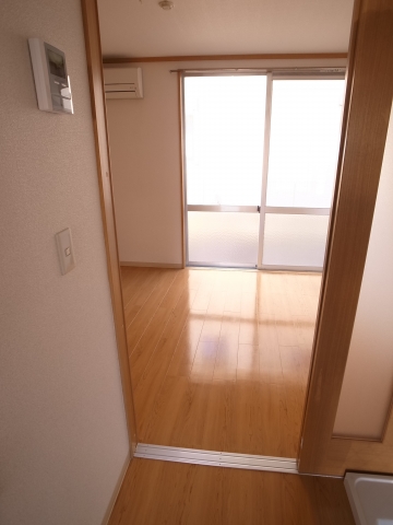 Other. I also nice door that separates the kitchen and the room. 