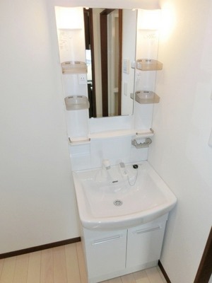 Washroom. Convenient Vanity