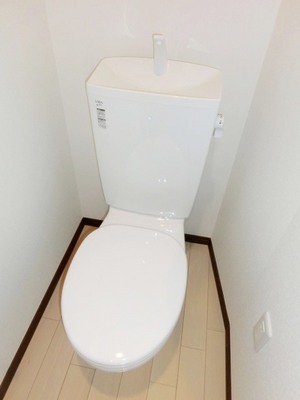 Toilet. Toilet